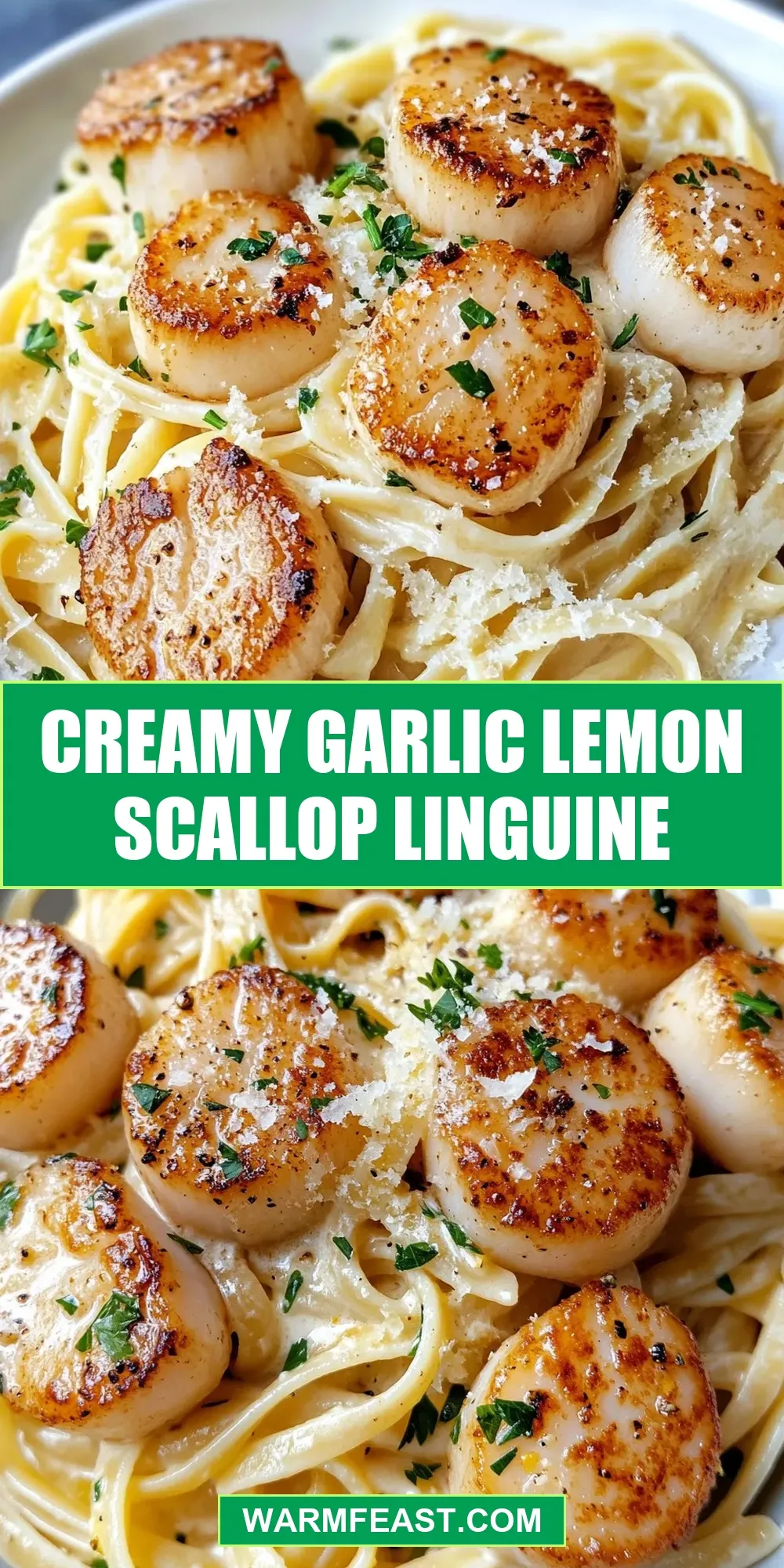 The Best Creamy Garlic Lemon Scallop Linguine Ever