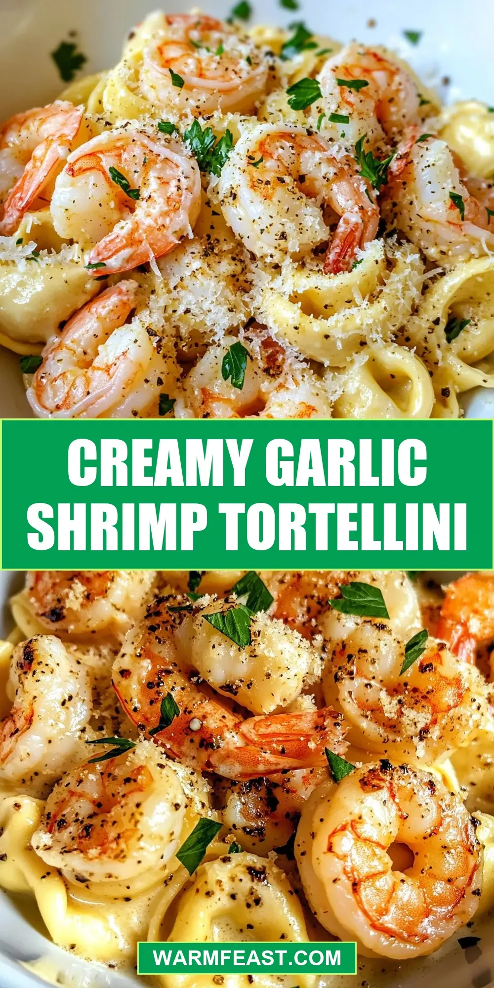 Creamy Garlic Shrimp Tortellini (Irresistible & Delicious)