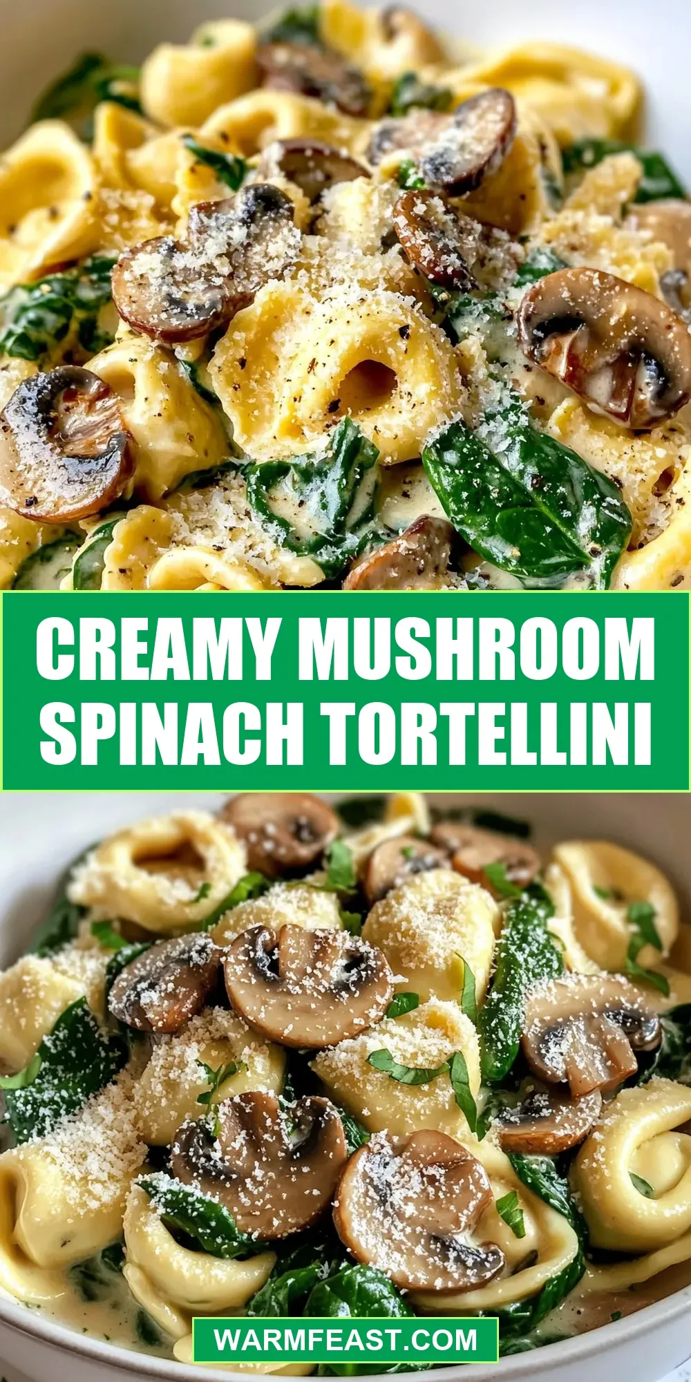 Easy Creamy Mushroom Spinach Tortellini Recipe
