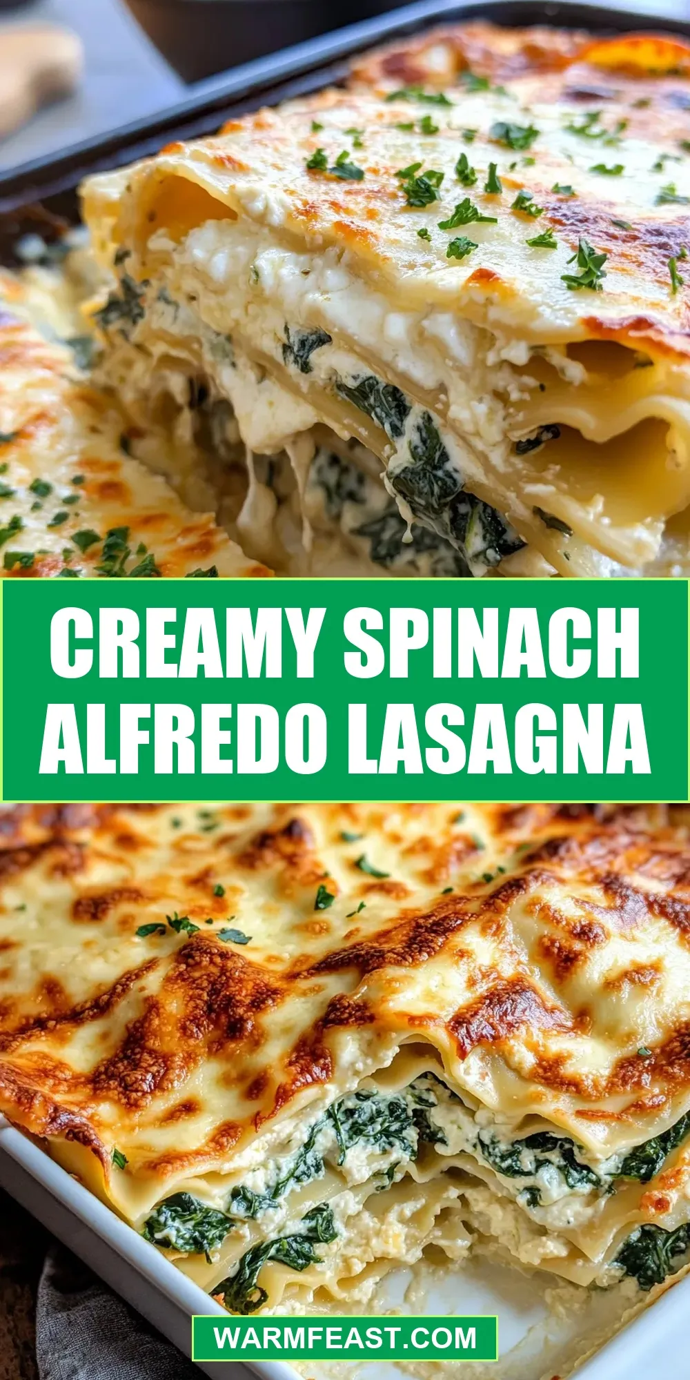 Easy Creamy Spinach Alfredo Lasagna Recipe
