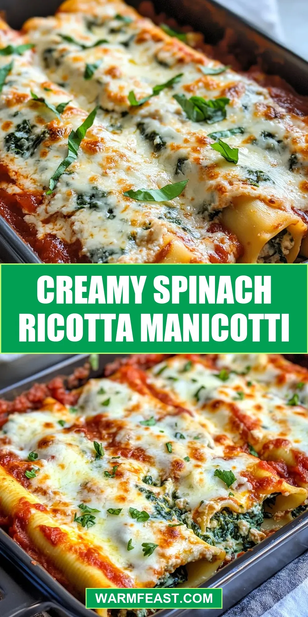 Creamy Spinach Ricotta Manicotti Recipe