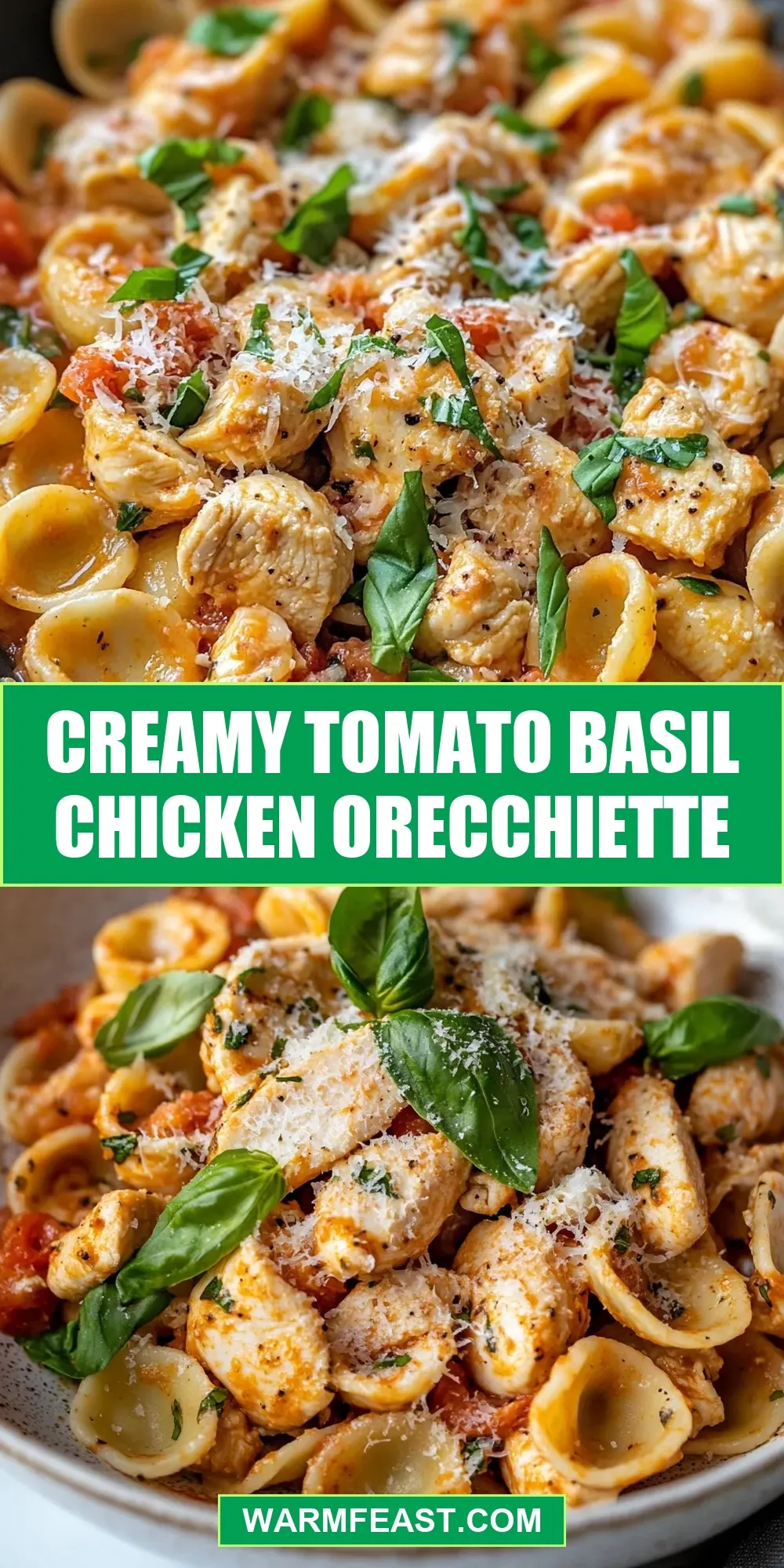 Creamy Tomato Basil Chicken Orecchiette Recipe