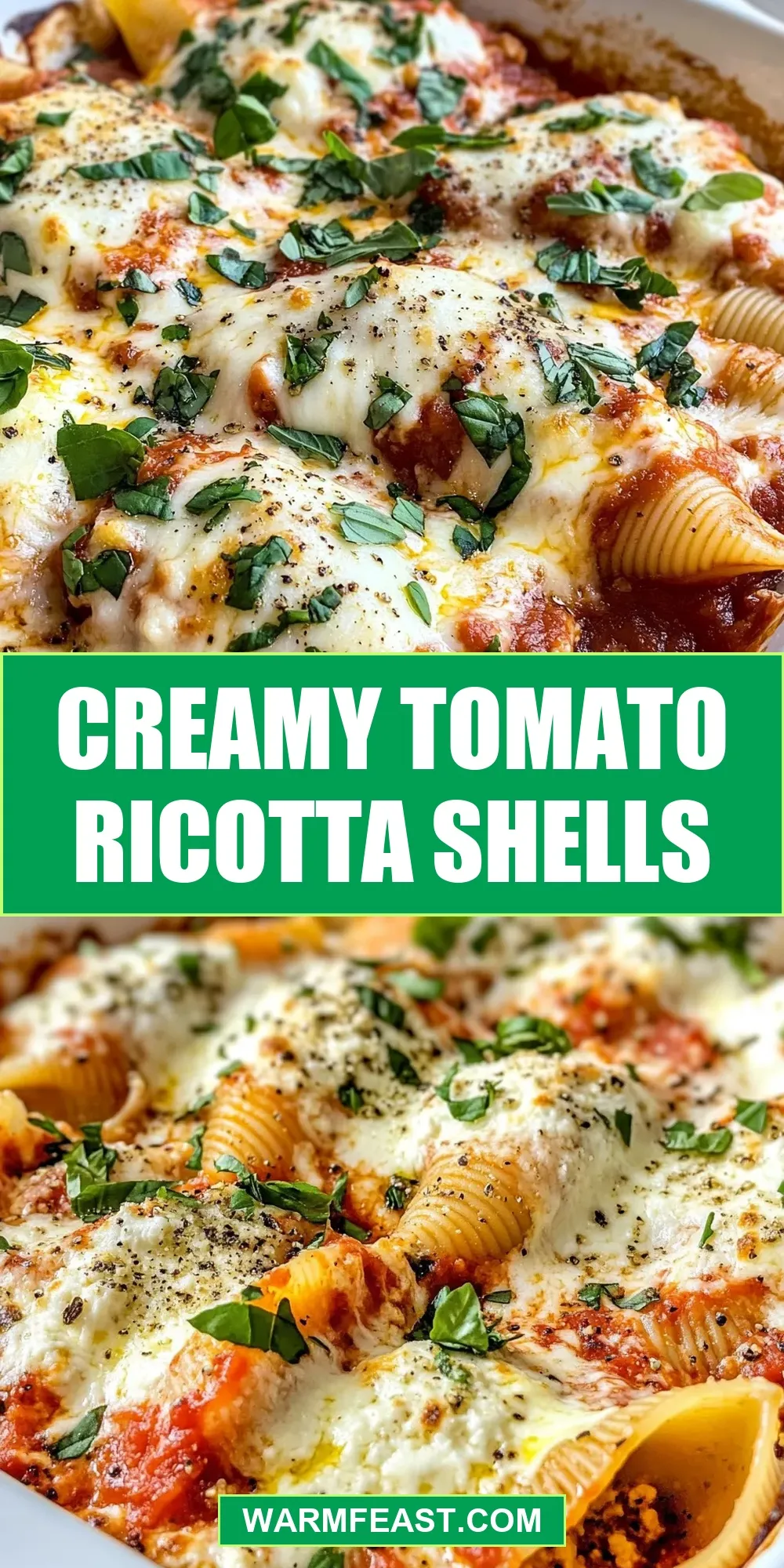 Creamy Tomato Ricotta Shells (Tasty & Delicious)