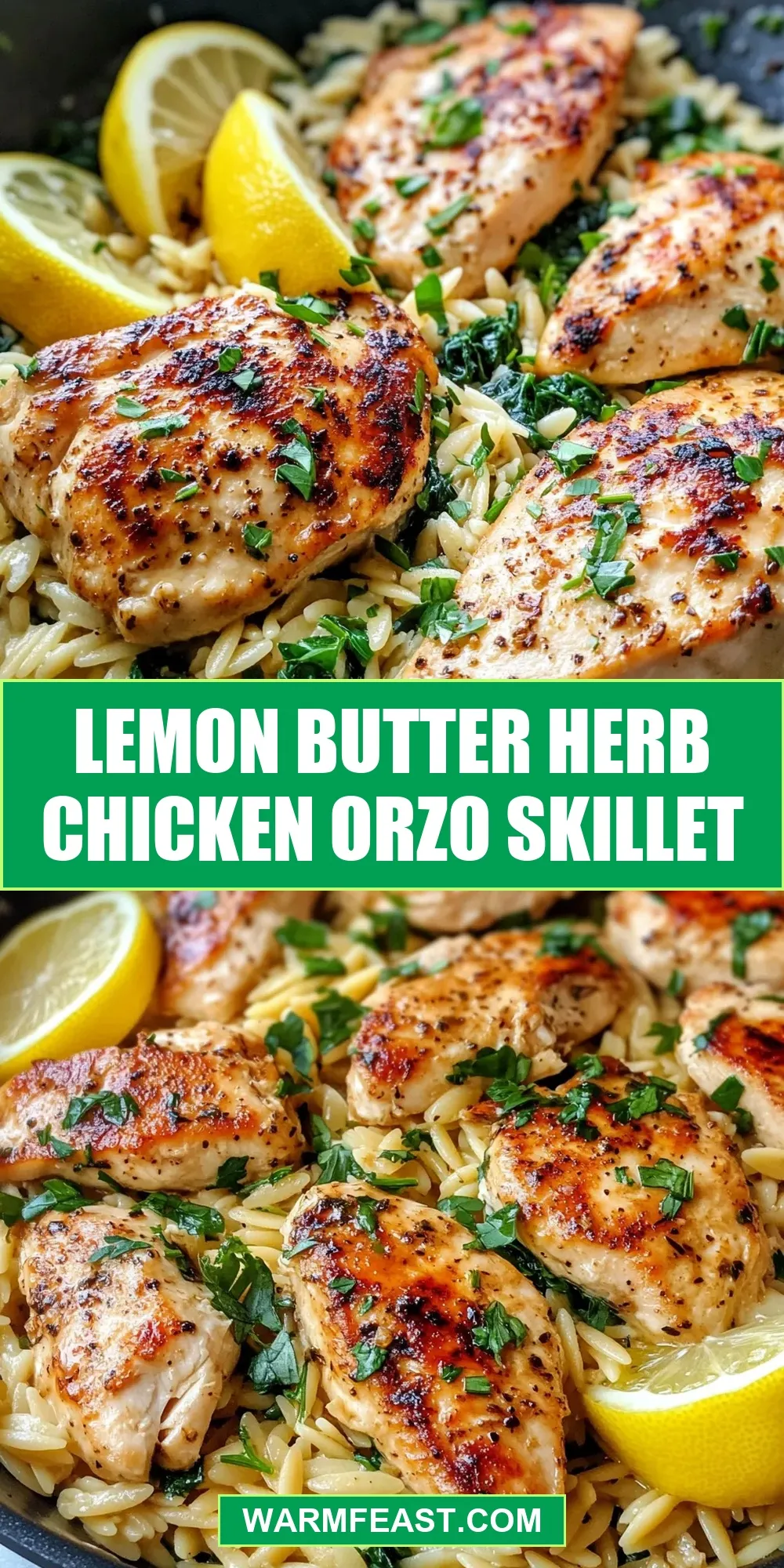 Lemon Butter Herb Chicken Orzo Skillet (Tasty & Delicious)