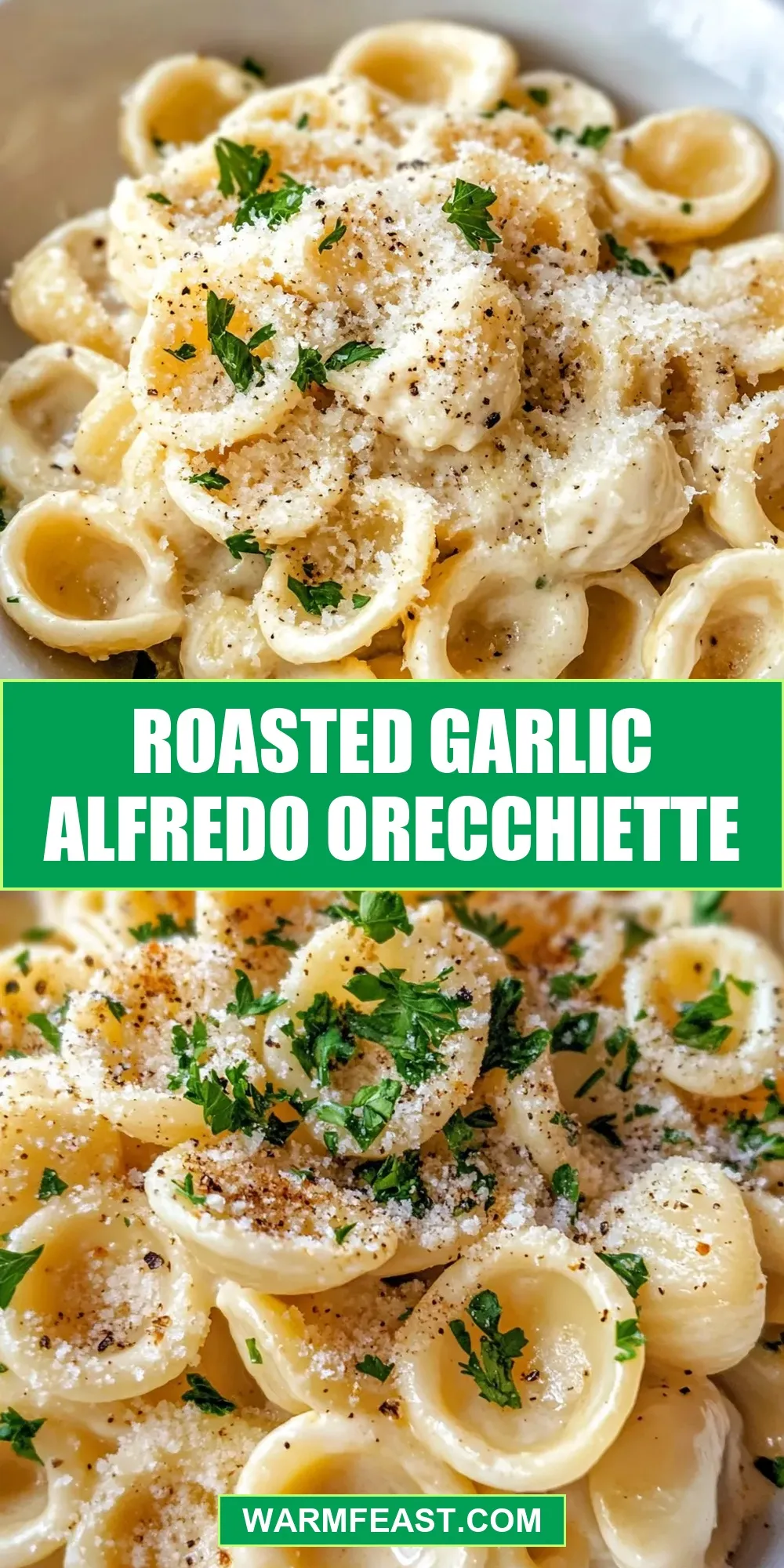 Roasted Garlic Alfredo Orecchiette Recipe