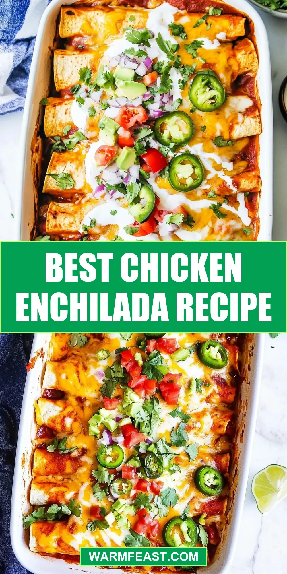 Best Chicken Enchilada (Tasty & Delicious)