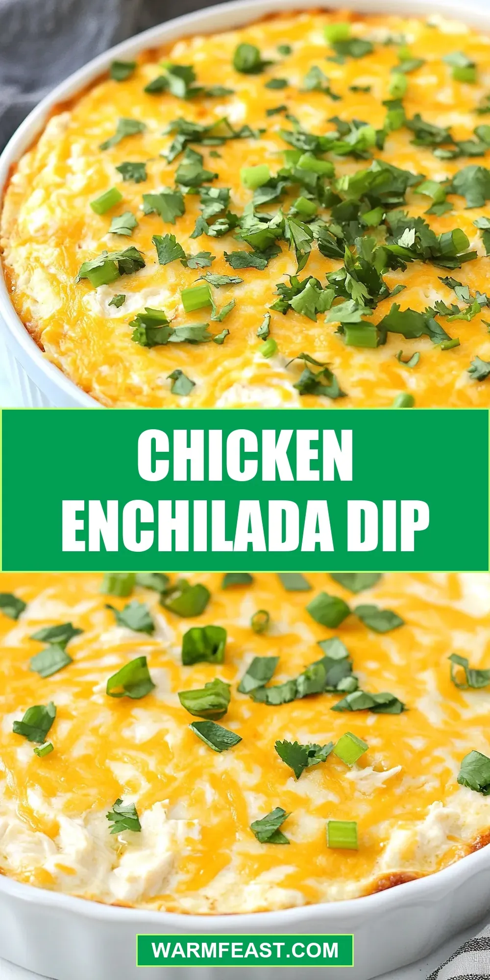 The Best Chicken Enchilada Dip Ever