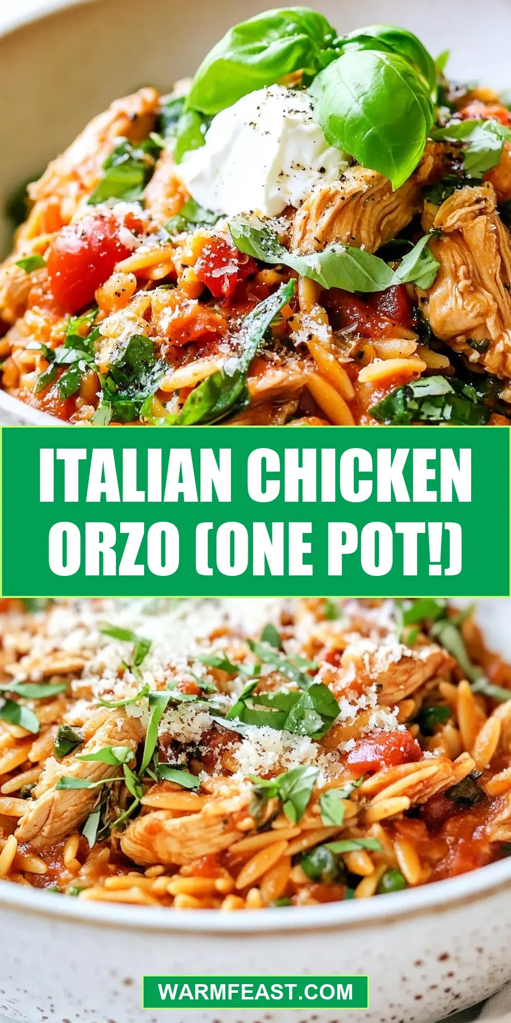 The Best Italian Chicken Orzo (One Pot!) Ever