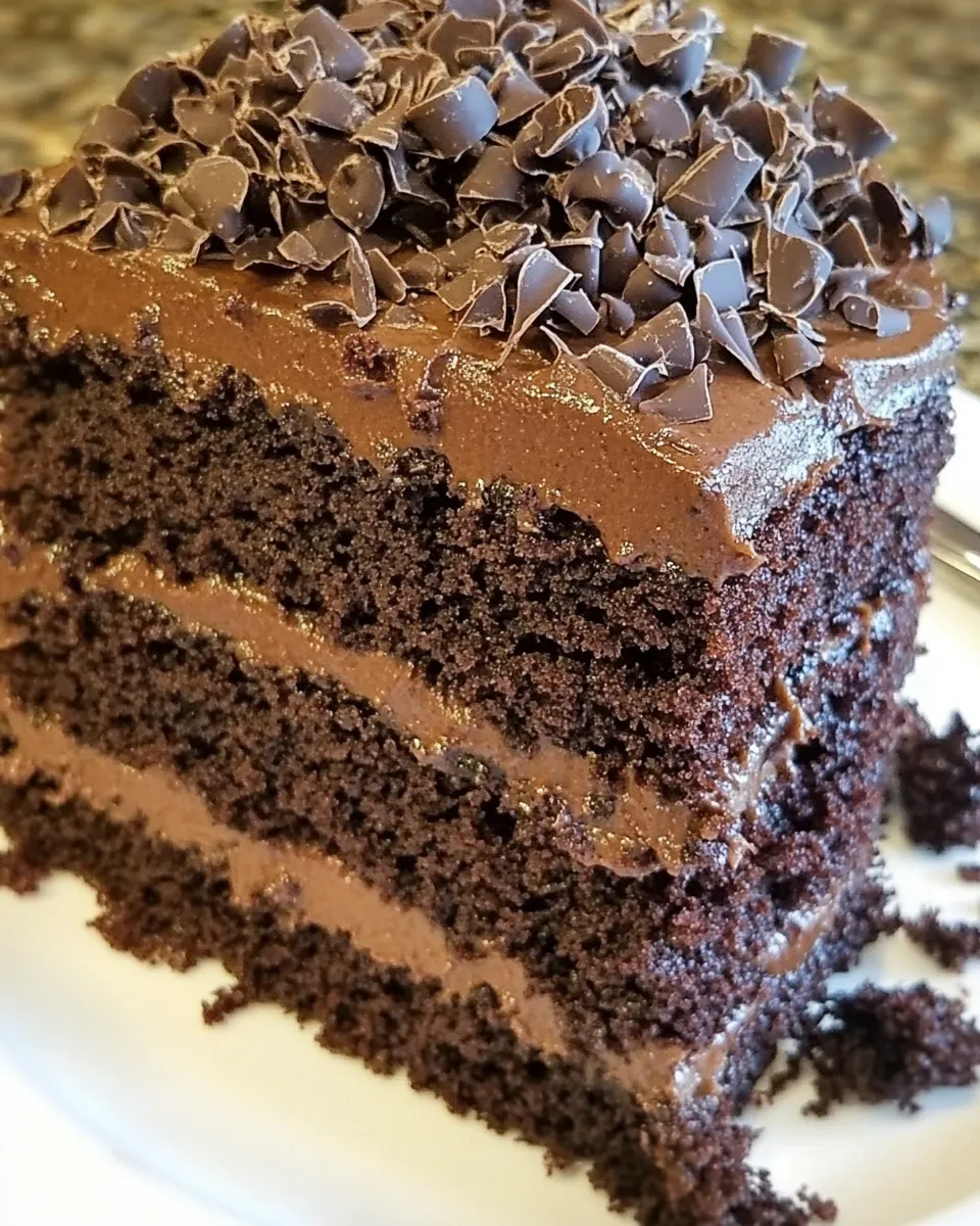 Delicious Chocolate Blackout Cake shot