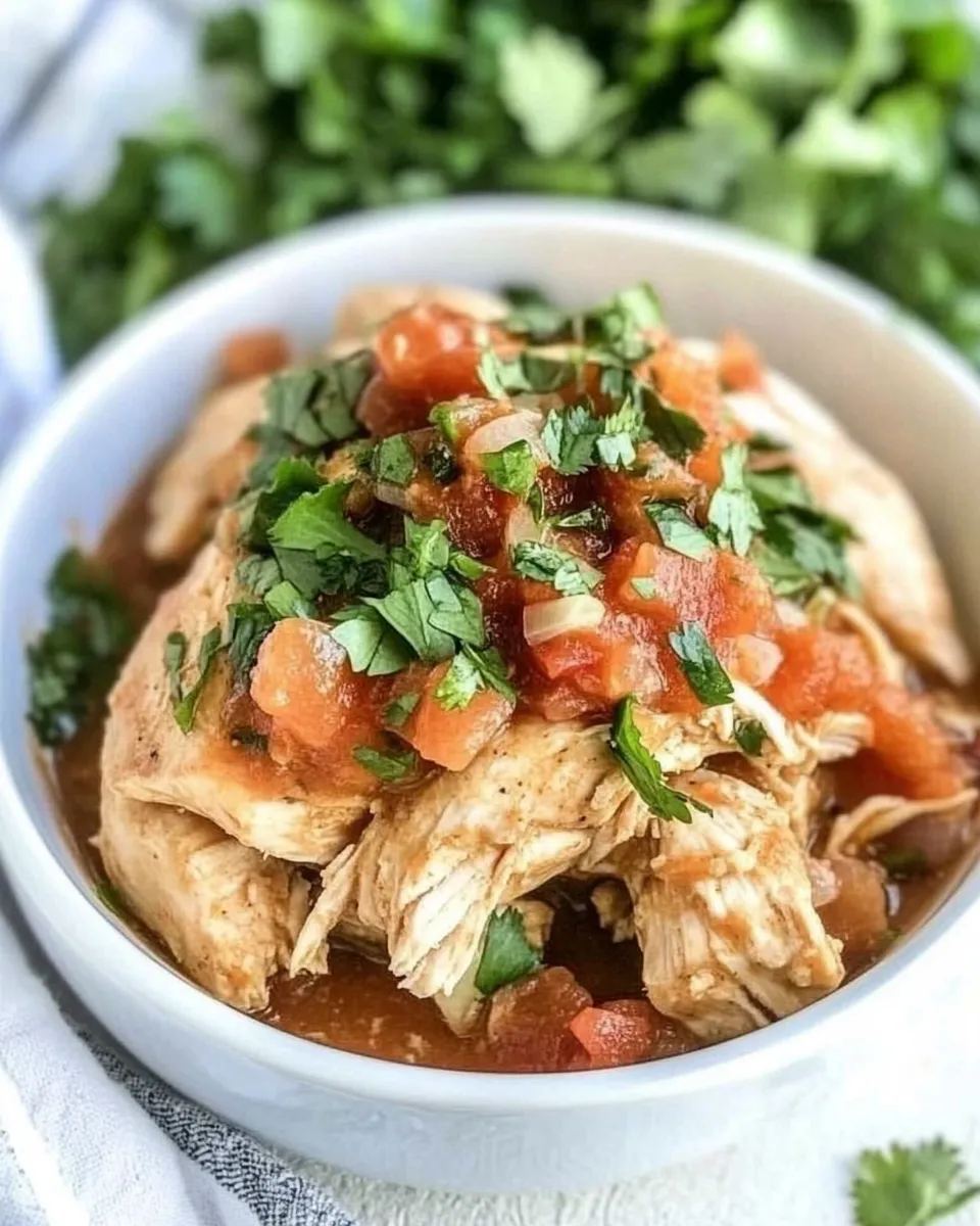 Quick Crockpot Salsa Chicken recipe photo