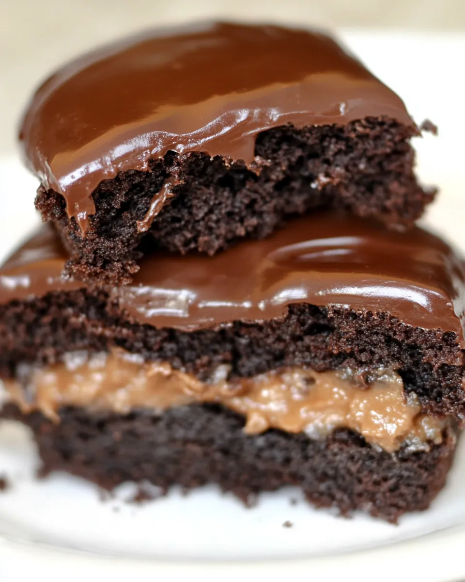 Homemade Choco-Bliss Snack Cakes photo